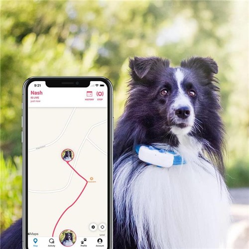 Tractive-GPS-Tracker-Dog 4-04